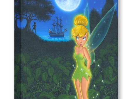 Pixie in Neverland  by Manuel Hernandez | Signed and Numbered Edition Supply