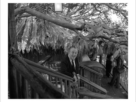 Walt at Swiss Family Tree House  from Disney Photo Archives For Cheap