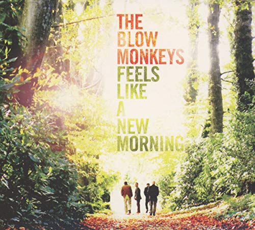 BLOW MONKEYS - FEELS LIKE A NEW MORNING (CD) For Discount