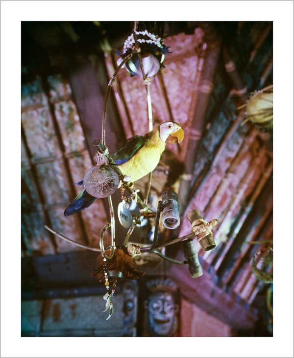 José in Walt Disney s Enchanted Tiki Room  from Disney Photo Archives Online now