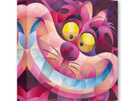 Cheshire Cat Grin  by Tom Matousek Online now