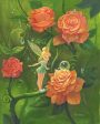 Tinker Bell’s Garden  by Michael Humphries Online now