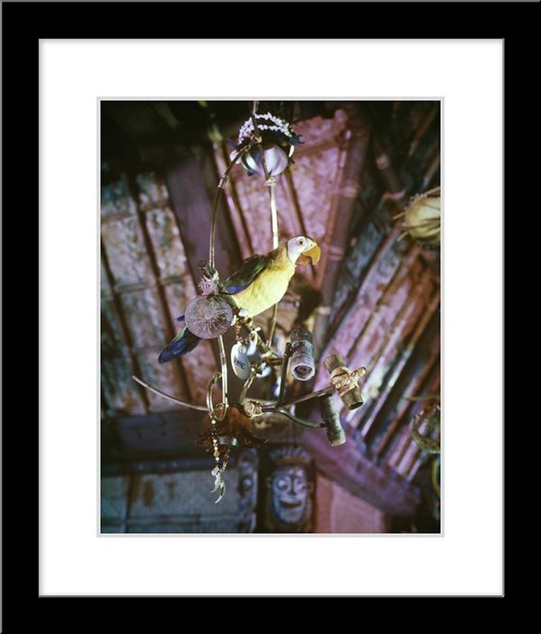 José in Walt Disney s Enchanted Tiki Room  from Disney Photo Archives Online now