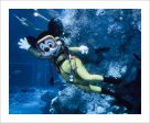 Mickey Mouse and The Living Seas  from Disney Photo Archives Fashion