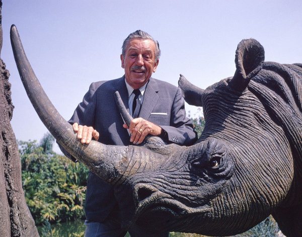 Walt & Jungle Cruise Rhinoceros  from Disney Photo Archives Cheap