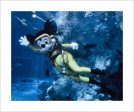 Mickey Mouse and The Living Seas  from Disney Photo Archives Fashion