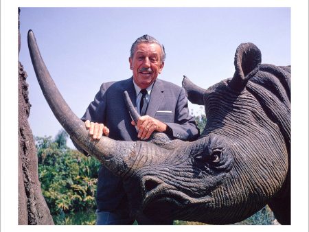 Walt & Jungle Cruise Rhinoceros  from Disney Photo Archives Cheap