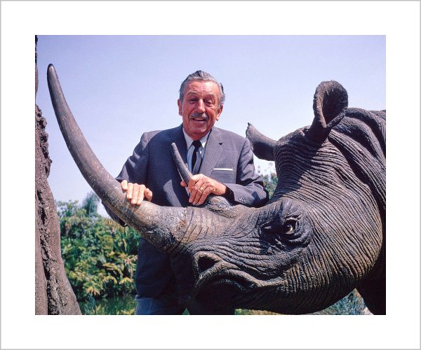 Walt & Jungle Cruise Rhinoceros  from Disney Photo Archives Cheap