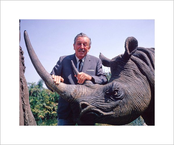 Walt & Jungle Cruise Rhinoceros  from Disney Photo Archives Cheap