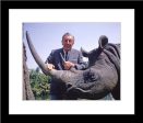 Walt & Jungle Cruise Rhinoceros  from Disney Photo Archives Cheap