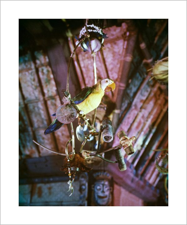 José in Walt Disney s Enchanted Tiki Room  from Disney Photo Archives Online now