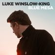 LUKE WINSLOW-KING - BLUE MESA (VINYL) Online Hot Sale