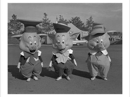 Three Little Pigs  from Disney Photo Archives on Sale