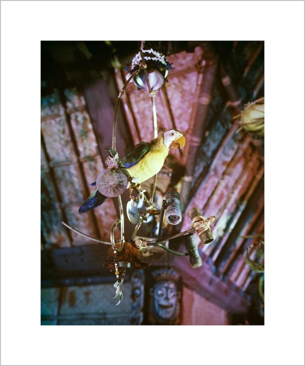 José in Walt Disney s Enchanted Tiki Room  from Disney Photo Archives Online now