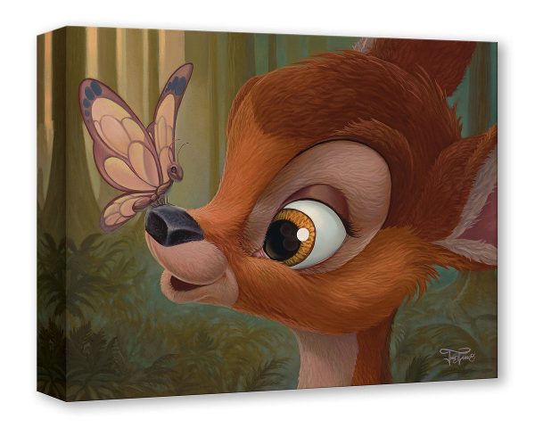 Nosey Butterfly  by Jared Franco Online Hot Sale