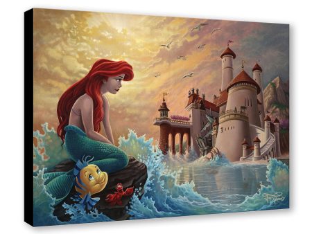 Ariel s Daydream  by Jared Franco | Signed and Numbered Edition Fashion