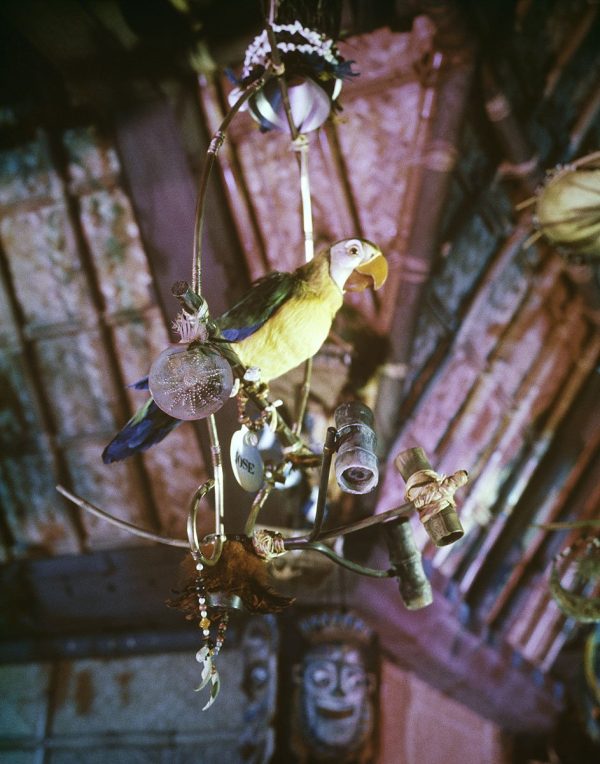 José in Walt Disney s Enchanted Tiki Room  from Disney Photo Archives Online now