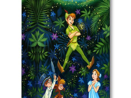 The Hero of Neverland  by Tim Rogerson Discount