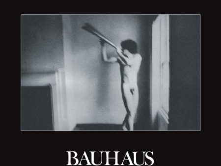 BAUHAUS - IN THE FLAT FIELD (REMASTERED) LP Online Hot Sale