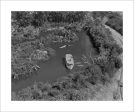 Aerial View of the Jungle Cruise, Disneyland Park  from Disney Photo Archives Sale