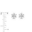 Enchanted Disney Fine Jewelry 14K White Gold with 1 3 CTTW Diamond Majestic Princess Solitaire Earrings Supply